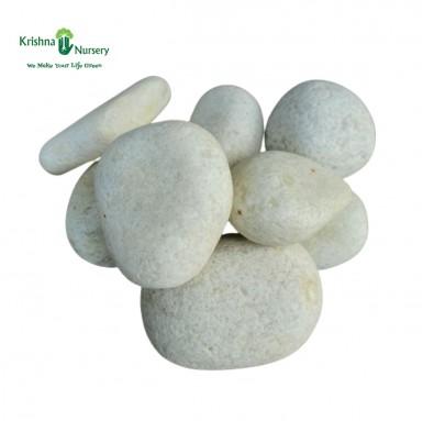 Super White Stone Unpolish (Size: Big) - Pebbles -  - super-white-stone-unpolish-size-big -   