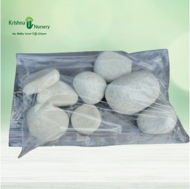 Super White Stone Unpolish (Size: Big) - Pebbles -  - super-white-stone-unpolish-size-big -   