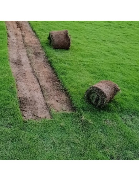 Selection No.1 Grass Type Carpet Sq.Ft. Sq.Ft.